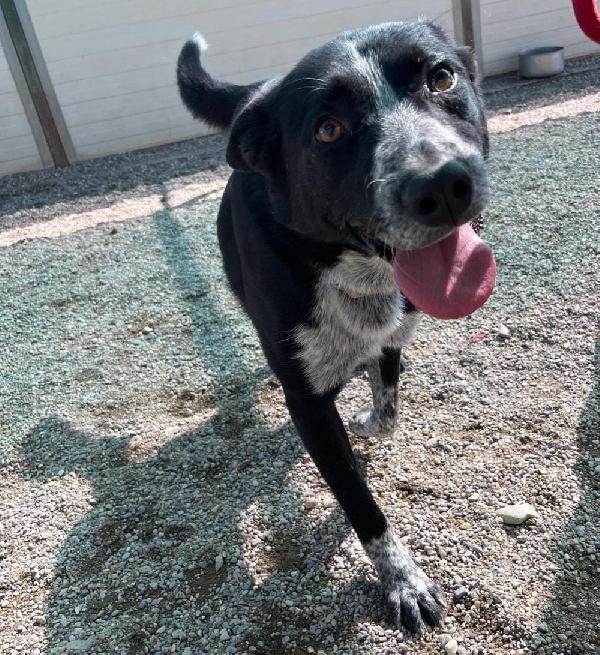 Valzer vi attende per ballare tutta la vita con lui Foto 8